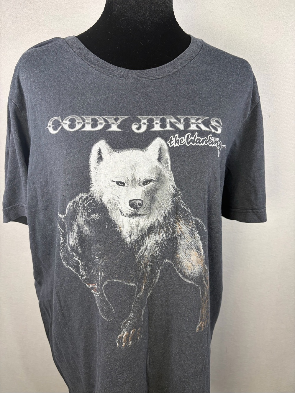 The Wanting Graphic Tee - Charcoal Gray